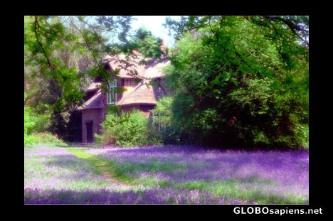 Postcard Queen Charlotte's Cottage, Kew Gardens