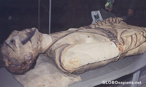 Postcard Mummy at the British Museum