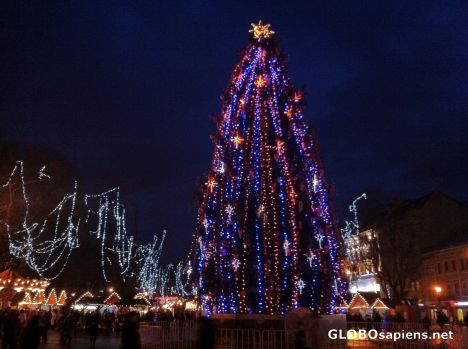 Postcard Lwów (UA) - Christmas Tree at night