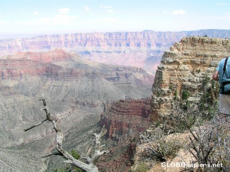 Postcard Blick in den Grand Canyon (North Rim)