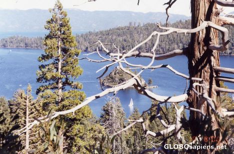 Postcard Emerald Bay Lake Tahoe