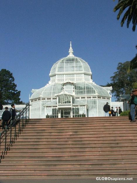 Postcard Conservatory of Flowers