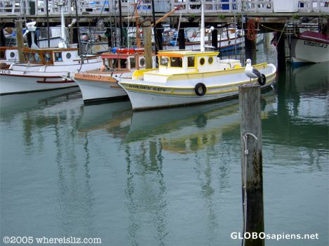 Postcard Boats on the Bay, Fisherman's Wharf, SF