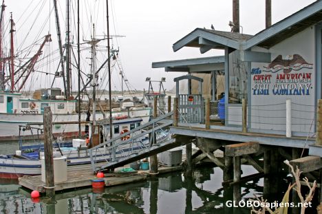 Postcard Morro Bay: Fishing port in the grayness
