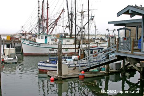 Postcard Morro Bay: Fishing port in the grayness