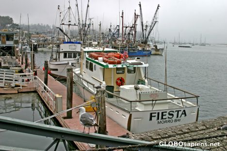 Postcard Morro Bay: Fishing boat
