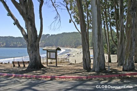 Postcard San Simeon Beach - California