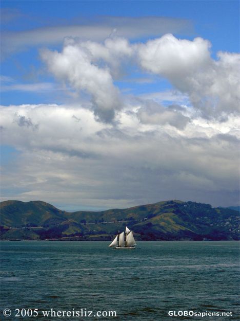Postcard Sailing San Francisco Bay