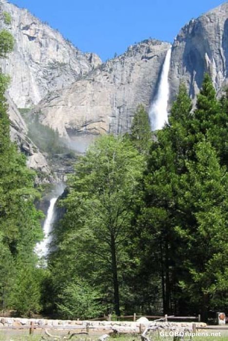 Postcard Upper & Lower Yosemite Falls