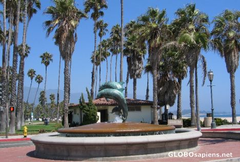 Postcard Santa Barbara - Dolphin Fountain
