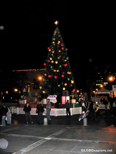 Postcard Christmas in the Park - Christmas Tree Night