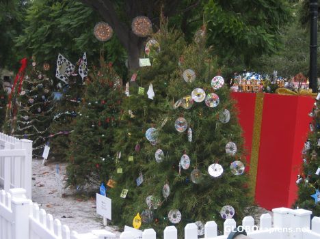 Postcard CHristmas Trees Decorated by School Children