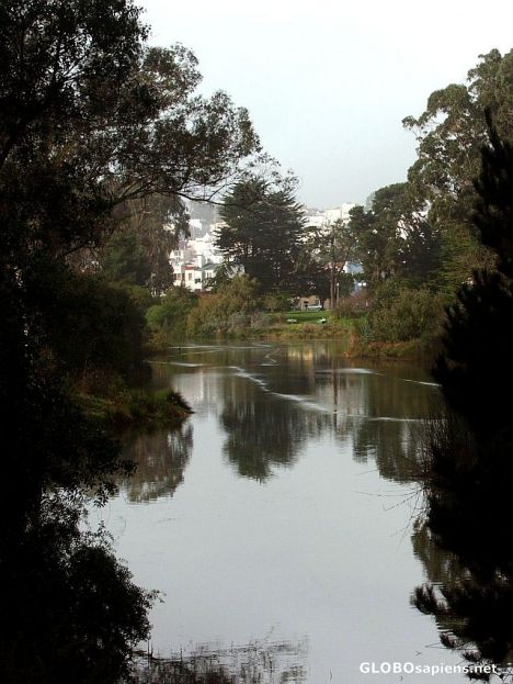 Postcard Lake in the park