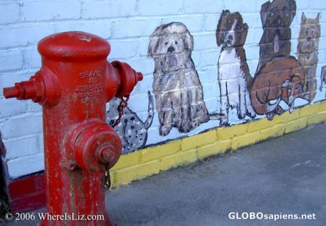 Postcard Dogs and Hydrant