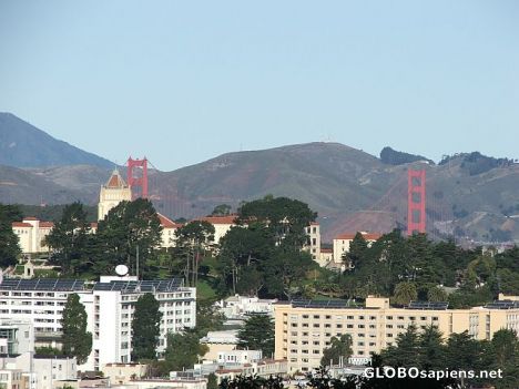 Postcard Golden Gate,neighborhood and hills.