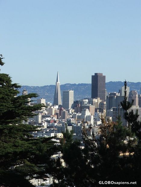 Postcard Over San Francisco downtown