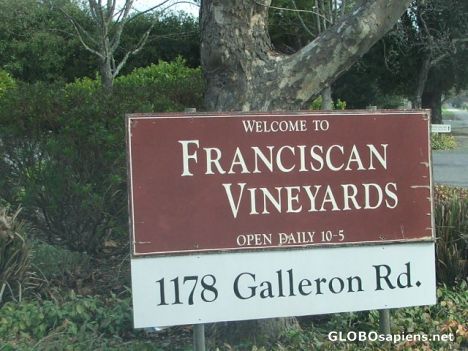 Postcard Franciscan vinery