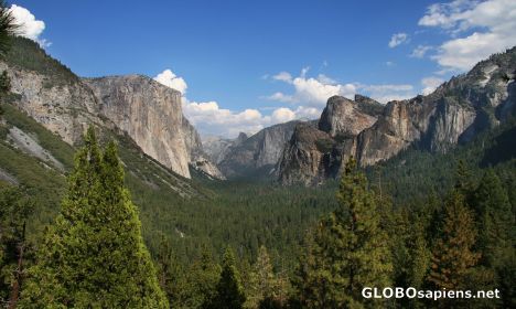 Postcard Yosemite Park, California