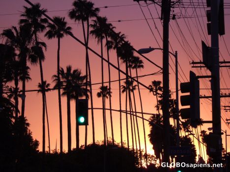 Sunset LA style