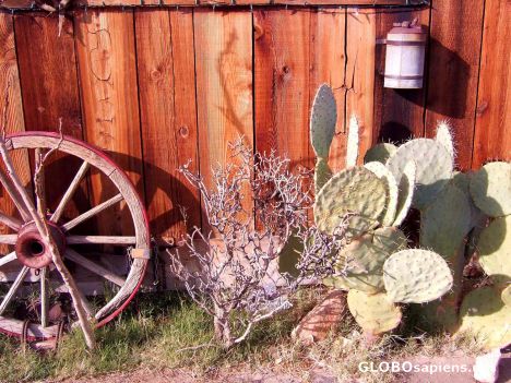 Postcard Still life with cactus