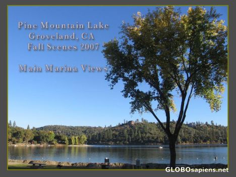 Postcard Pine Mountain Lake Main Marina, Groveland, CA