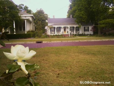 Postcard Magnolia in the historic district of Columbus, GA