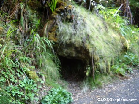 Postcard Where the Hobbit lives - near Thurston Lava Tube