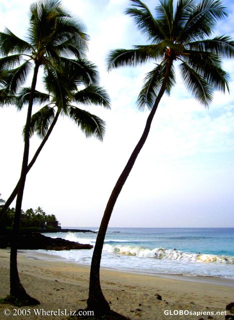 Postcard Tropical Beach, Kona, Hawaii