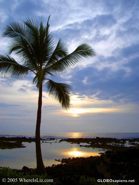 Postcard Sunset Palm, Hawaii