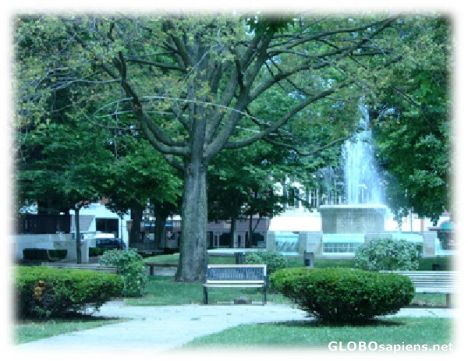 Postcard Park Fountain