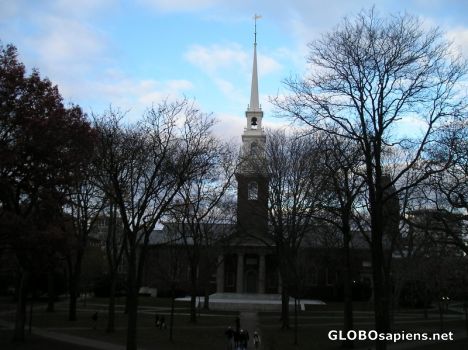 Postcard Harvard University