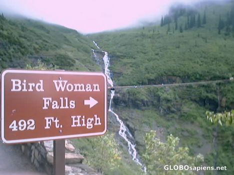 Postcard Bird Woman Falls