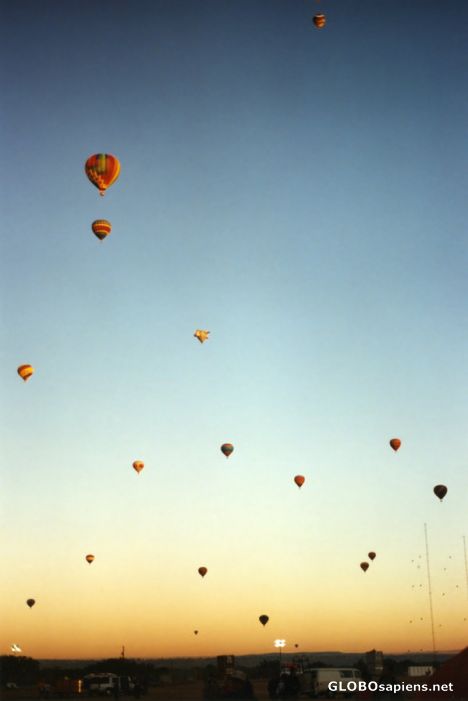 Postcard Albuquerque Balloon Fiesta Dawn Flight