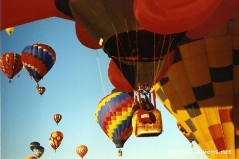 Postcard Albuquerque Balloon Fiesta Rising Above