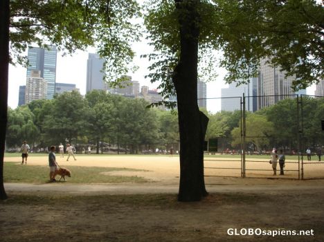 Postcard baseball match in Central Park