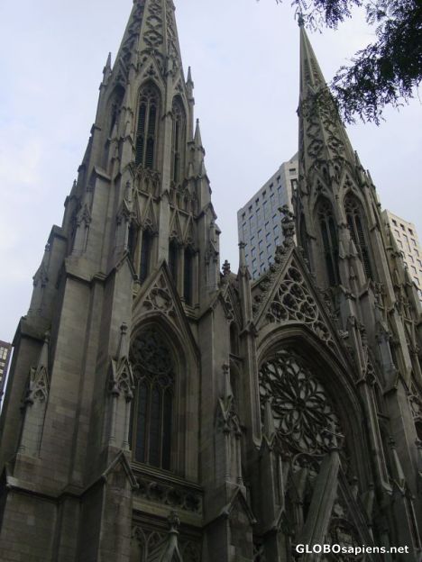 Postcard St.Patrick's Cathedral
