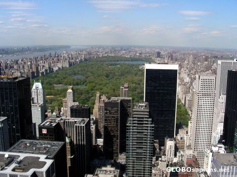 Postcard View over Central Park 01