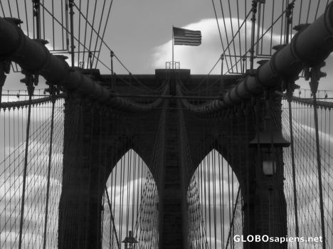 Postcard B & W shot Brooklyn bridge 02