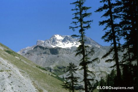 Postcard The peak of Mt. Hood