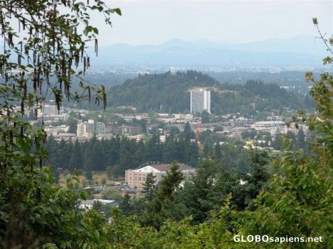 Postcard Overview of Eugene, Oregon
