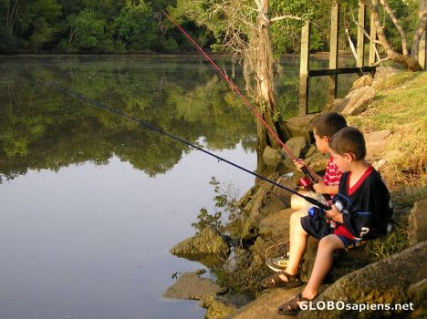 Postcard Bayou Boys Fishing
