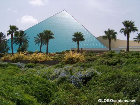 Postcard Moody Gardens 2o22 Aquarium Pyramid