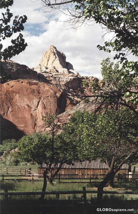 Postcard Fruita with capitol Dome in the Background
