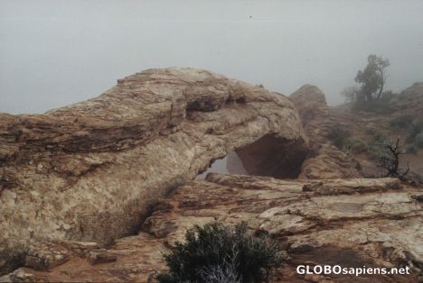 Postcard Mesa Arch in the fog