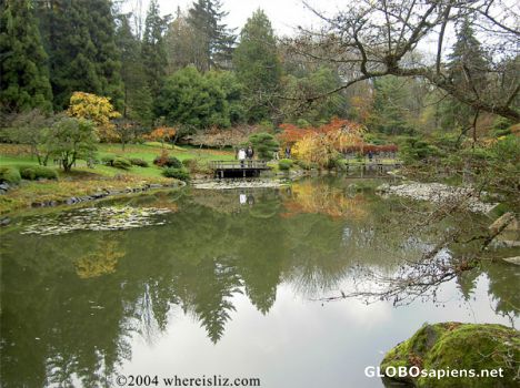 Postcard Japanese Garden, Seattle