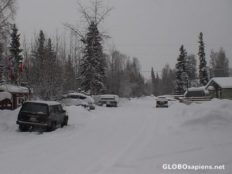 Fairbanks in the winter