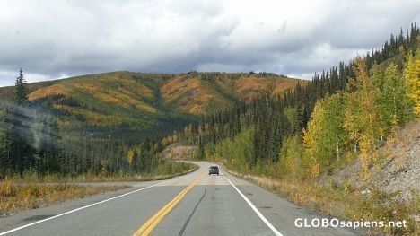 The fall colors of Alaska
