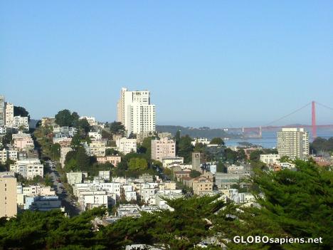 Postcard View from Coit Tower