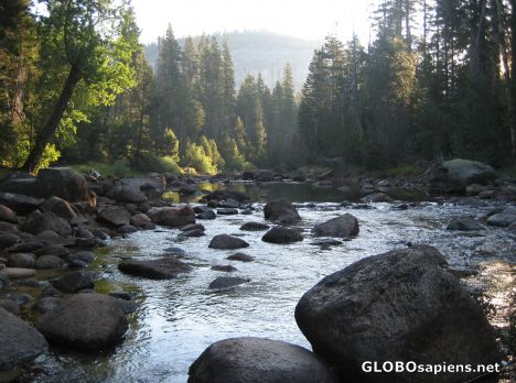 Postcard Morning along the Merced River in Little Yosemite