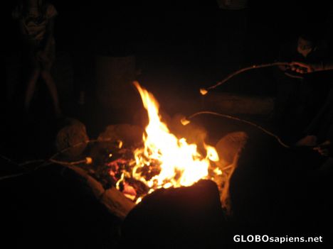 Postcard Roasting Marsh Mellows around the Campfire